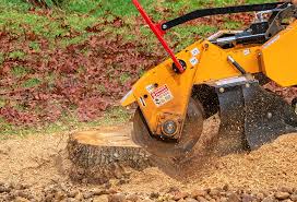 Tree and Shrub Care in Lyndonville, VT